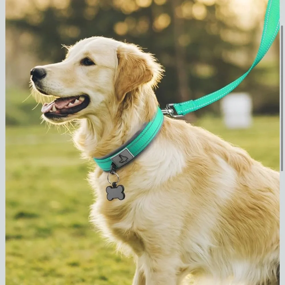 *Bundle Item 50% off* Dog Collar with Metal Buckle - Green Small 12-15” S